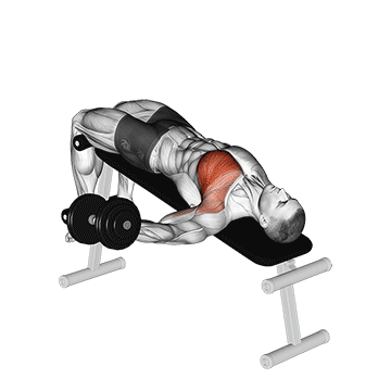 How to do Dumbbell Decline Single-Arm Fly — animated demonstration