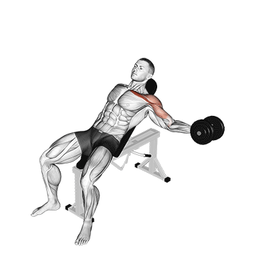 How to do Dumbbell Incline Single-Arm Fly — animated demonstration