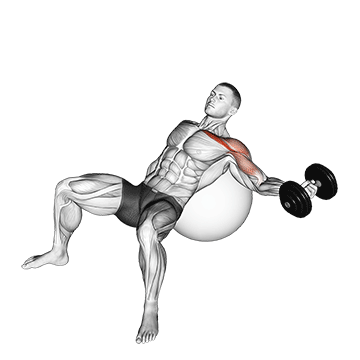 How to do Dumbbell Incline Single-Arm Fly on Stability Ball — animated demonstration