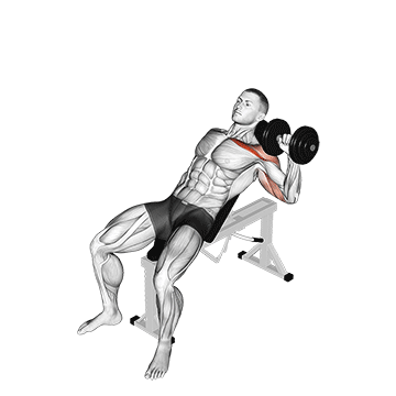 How to do Dumbbell Incline Single-Arm Press — animated demonstration