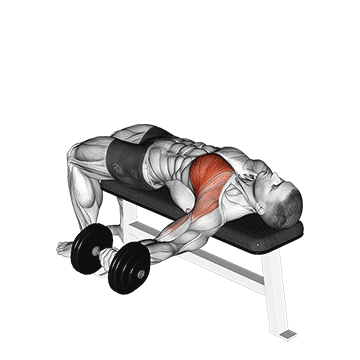 How to do Dumbbell Single-Arm Bench Fly — animated demonstration