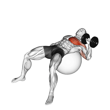How to do Dumbbell Single-Arm Press on Stability Ball — animated demonstration