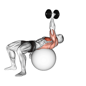 How to do Dumbbell Single-Arm Pullover on Stability Ball — animated demonstration