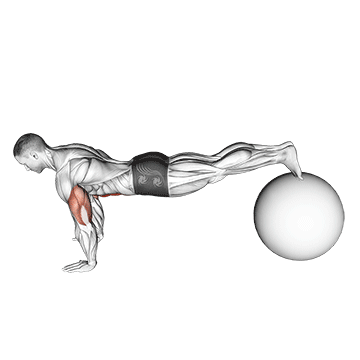 How to do Stability Ball Pike Push-Up — animated demonstration