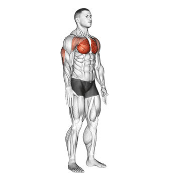 How to do Isometric Chest Squeeze — animated demonstration