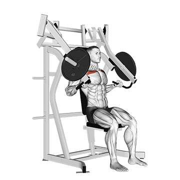 How to do Lever Incline Chest Press — animated demonstration