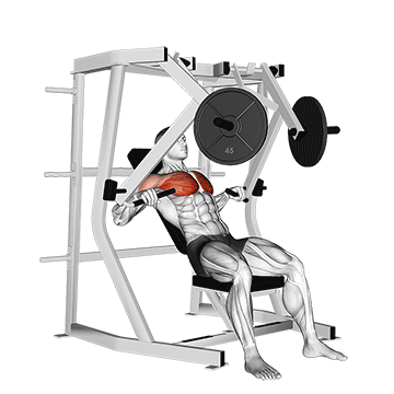 How to do Lever Decline Chest Press — animated demonstration