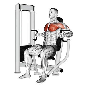 How to do Machine Inner Chest Press — animated demonstration