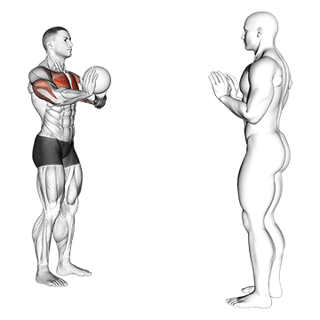 How to do Medicine Ball Chest Pass — animated demonstration