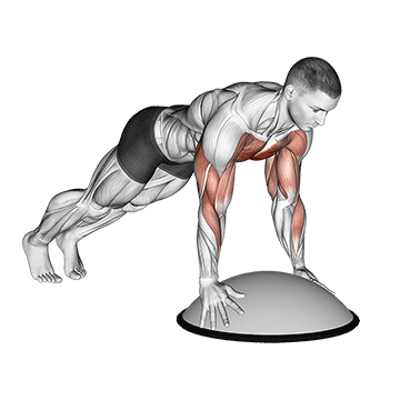 How to do Bosu Ball Push-Up (Hands on Ball) — animated demonstration