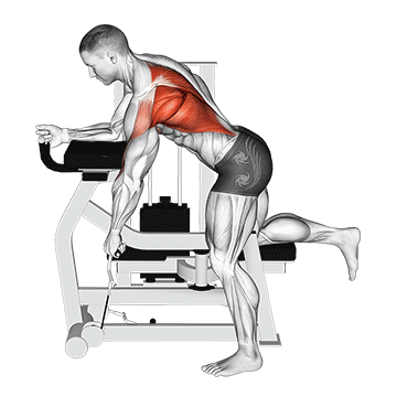 How to do Lever Unilateral Row — animated demonstration