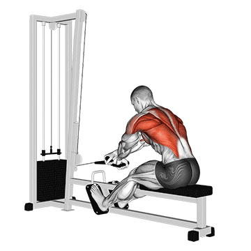 How to do Cable Rope Crossover Seated Row — animated demonstration