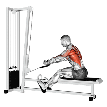 How to do Cable Rope Elevated Seated Row — animated demonstration
