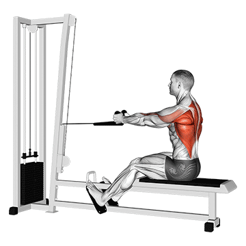 How to do Cable Rope Seated Row — animated demonstration