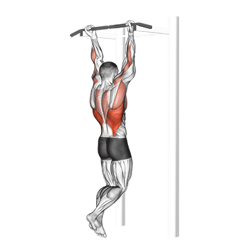 How to do Chin-Up — animated demonstration