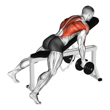 How to do Dumbbell Lying Rear Delt Row — animated demonstration