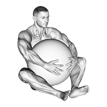 How to do Stability Ball Hug — animated demonstration