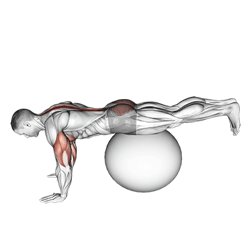How to do Stability Ball Prone Leg Raise — animated demonstration