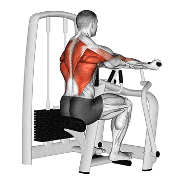 How to do Lever Reverse-Grip Vertical Row — animated demonstration
