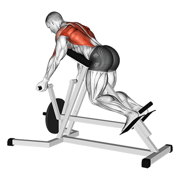 How to do Lever Reverse T-Bar Row — animated demonstration