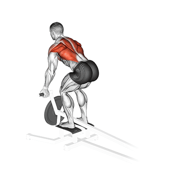 How to do Lever T-Bar Reverse-Grip Row — animated demonstration