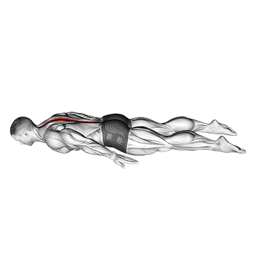How to do Lower Back Curl — animated demonstration