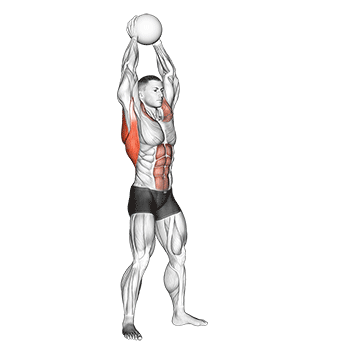 How to do Medicine Ball Overhead Slam — animated demonstration