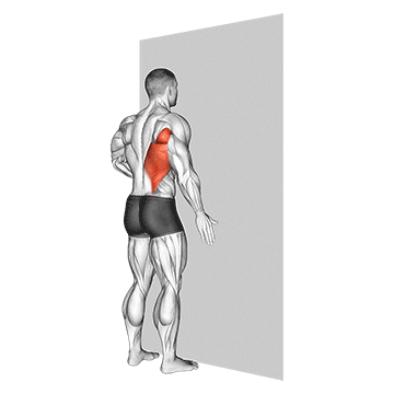 How to do Single-Arm Wall Push — animated demonstration