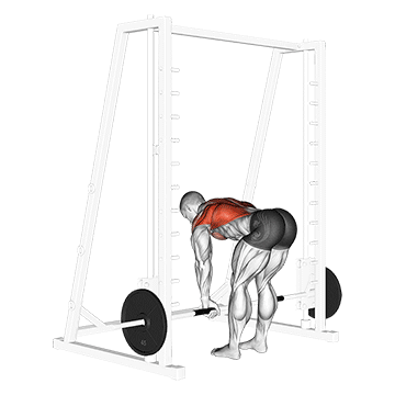 How to do Smith Bent-Over Row — animated demonstration