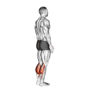 How to do Bodyweight Standing Calf Raise — animated demonstration
