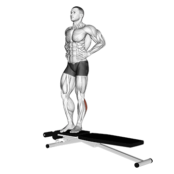 How to do Box Jump Down with Single-Leg Stabilization — animated demonstration