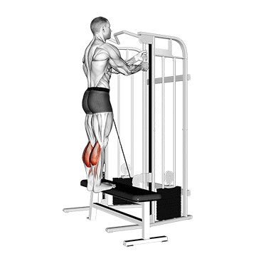 How to do Cable Standing Calf Raise — animated demonstration