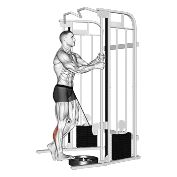 How to do Cable Standing Single-Leg Calf Raise — animated demonstration