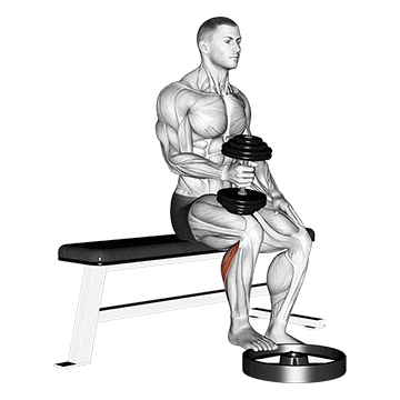 How to do Single-Leg Seated Dumbbell Calf Raise — animated demonstration