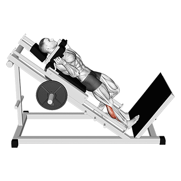 How to do Hack Single-Leg Calf Raise — animated demonstration