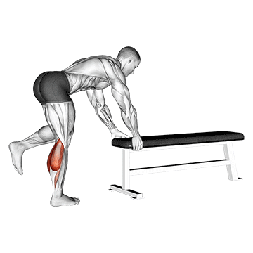 How to do Single-Leg Donkey Calf Raise — animated demonstration