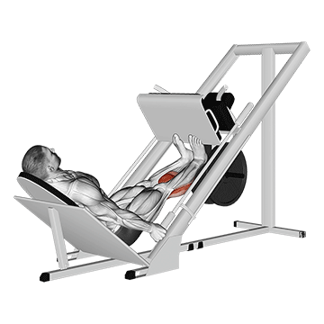 How to do Leg Press Calf Raise — animated demonstration