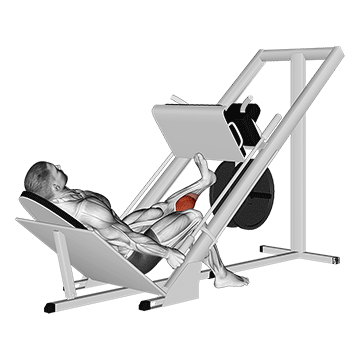 How to do Single-Leg Calf Press — animated demonstration