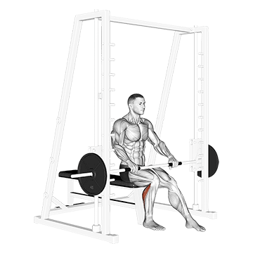 How to do Smith Seated Single-Leg Calf Raise — animated demonstration