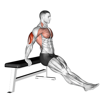 How to do Bench Dip on Floor — animated demonstration