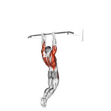 How to do Muscle-Up — animated demonstration