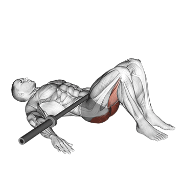 How to do Barbell Glute Bridge — animated demonstration