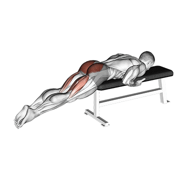 How to do Reverse Hyper on Flat Bench — animated demonstration