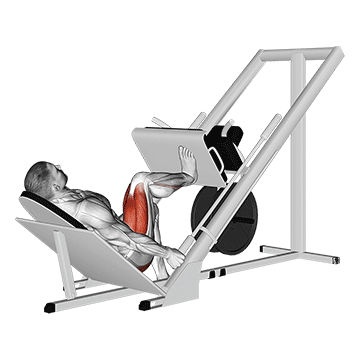 How to do Single-Leg Press — animated demonstration