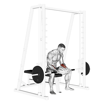 How to do Smith Seated Wrist Curl — animated demonstration
