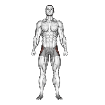 How to do Straight Leg Outer Hip Abductor — animated demonstration