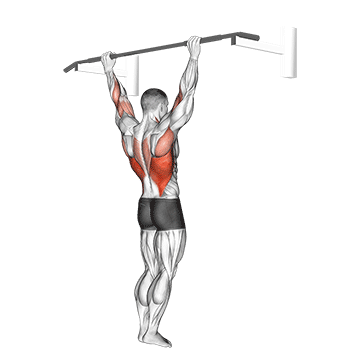 How to do Wide-Grip Pull-Up — animated demonstration