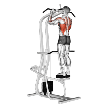 How to do Assisted Standing Chin-Up — animated demonstration