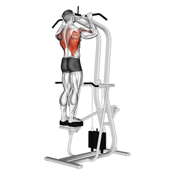 How to do Assisted Standing Pull-Up — animated demonstration