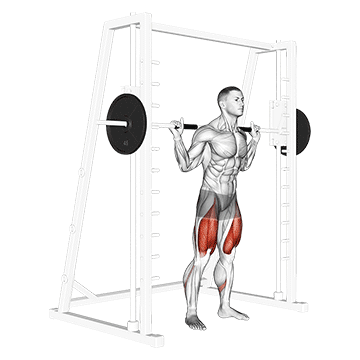 How to do Smith Low Bar Squat — animated demonstration